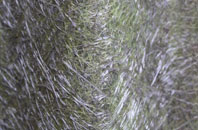 Stanley Downton fibreglass roof work